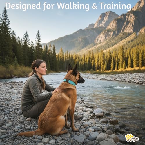 Image of ADITYNA Leather Dog Collar for Medium & Large Dogs, Adjustable 15-21 inch Neck | Padded, heavy-duty metal buckle. Great for walking, training and hiking - ideal for Labrador, Boxer, Pitbull and Collie.