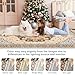 Macgace 5x7 Orange Beige Area Rug for Living Room, Machine Washable Rugs with Non-Slip Backing for Bedroom, Vintage Medallion Carpet Dining Room Office Kids Room Decor