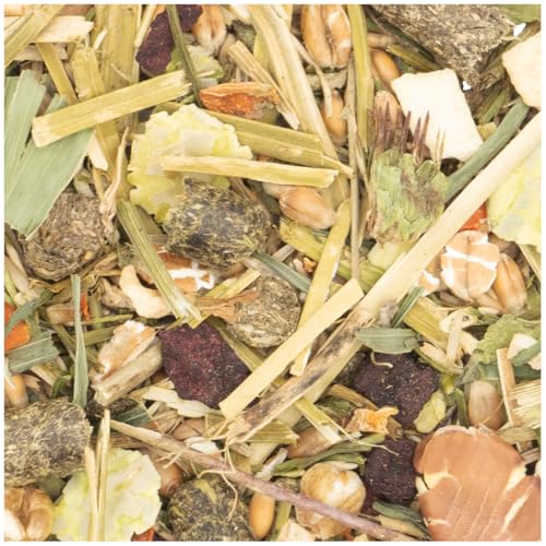 JR Farm Degu-Schmaus | Doppelpack | 2 x 800 g | Alleinfuttermittel für Degus | EIN Mix aus Wilden Saaten und tierischem Protein | Mit Vitaminen und Mineralstoffen