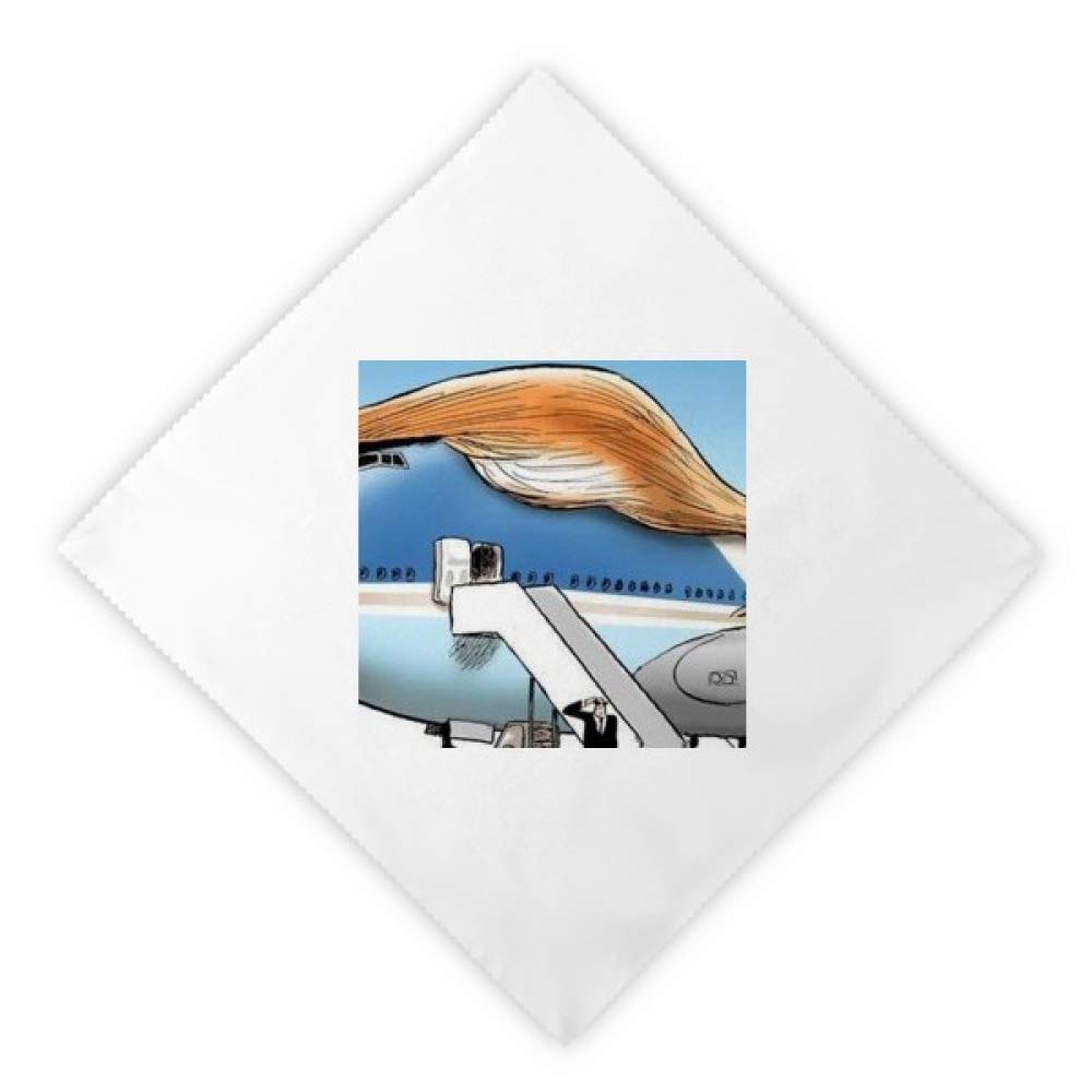 Serviettes en tissu réutilisables Trump Frog table 47cm