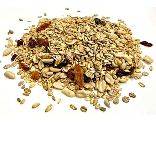 Naturmix 10kg schalenloses Wildvogelfutter | Ganzjahresfutter schalenlos für alle Vögel – Bild 4