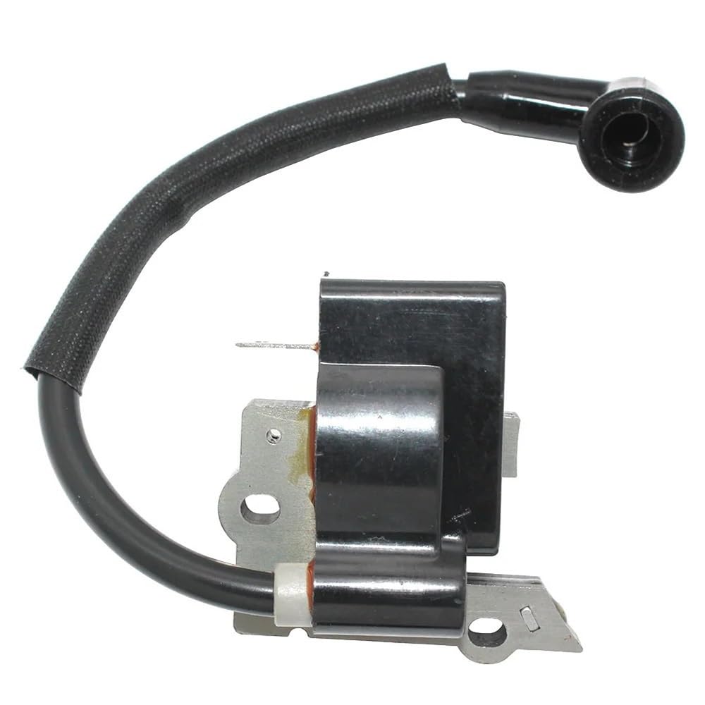 Bobine d'allumage 530039234 de rechange pour système 545158001