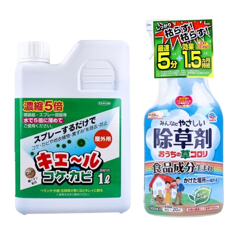 yZbgizZk^CvRPEJr܁{܁in[u̍j 2_Zbg O܂萴|^GEݑ΍