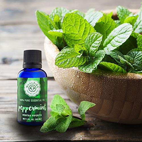 Woolzies Peppermint Essential Oil 1 Oz #TOP1