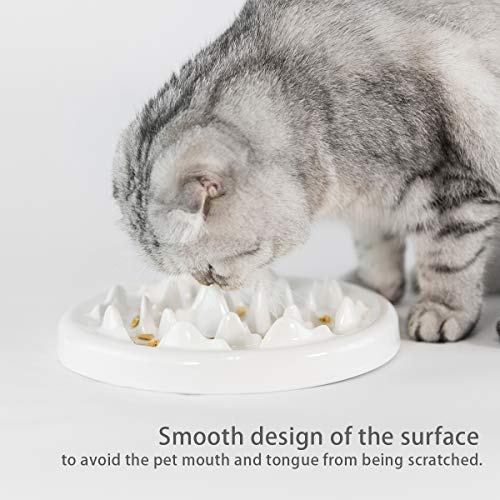 Avafort Anti-Gulping Dog Cat Ceramic Bowl Slow Feeder Interactive Bloat Stop Pet Bowl For Fast Eaters Heavy Duty (Fish Shape) #TOP1