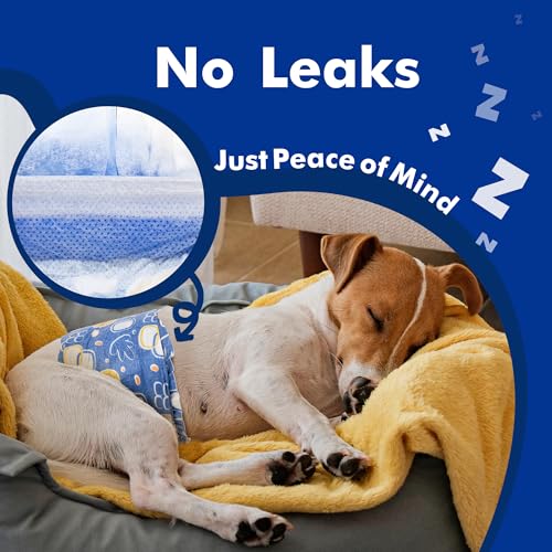 Image of MICOOYO Male Dog Diapers, Disposable Male Dog Wraps with Wetness Indicator, Super Absorbent | Leak Proof Doggie Diapers for Incontinence, Marking, Puppy Training, S, 12-19-inch Waist, 20 Counts