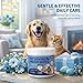 PHASORRA Dog Dental Care Wipes - 60Ct Tooth Brushing kit, Heavy Duty Teeth Cleaning for Dogs & Cats, Remove Tartar & Plaque, Dog Breath Freshener, Dog Toothbrush & Toothpaste Alternatives (Coconut)