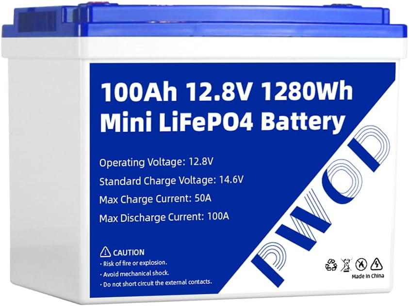 Group 24 Mini 12V 100Ah Lifepo4 Battery，Deep Cycle Max.Output Power 1280W,Built in 100A BMS for RV，Trolling Motors，Solar System