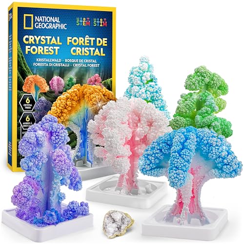 National Geographic Kit de Manualidades para Niños – Kit de Cultivo de Cristales, CREA 6 Árboles de Cristal en 6 Horas, Suministros de Arte, Geoda, Kit CTIM
