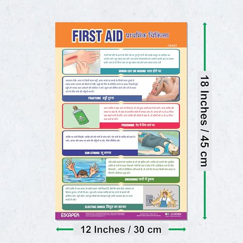 Image of ESCAPER First Aid Educational Charts (11.5 x 17.5 Inches), 300 GSM Paper, Laminated, Self Adhesive Back, Kids Learning Posters, Perfect For Home Schooling, Nursery Students