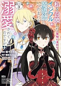 私を召喚した（無駄に美形な）イジワル魔導師に、いつのまにか溺愛されているのですが！？　分冊版（３） (異世界ヒロインファンタジー)