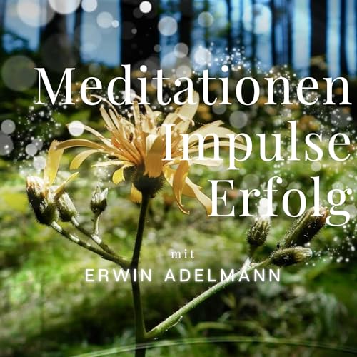 Couverture de Meditationen Impulse Erfolg