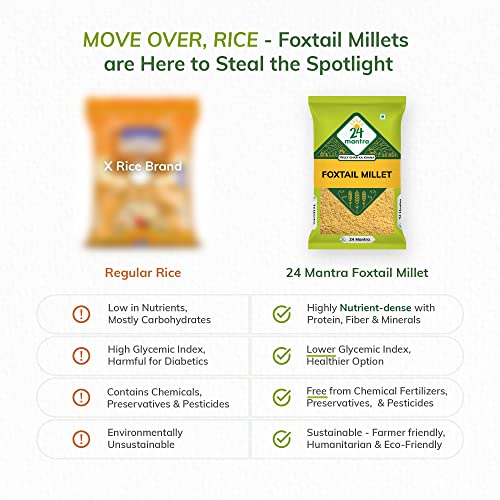 Image of 24 Mantra Organic Unpolished Foxtail Millet, LOW G.I Kangni, Naturally Gluten Free (Pack of 3)