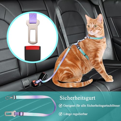 Katzengeschirr mit Leine Set [4-in-1] – Ausbruchsicher & verstellbar – Leichtes Katzenharnisch mit Autogurt – Für kleine, mittelgroße & große Katzen (M 1pcs)