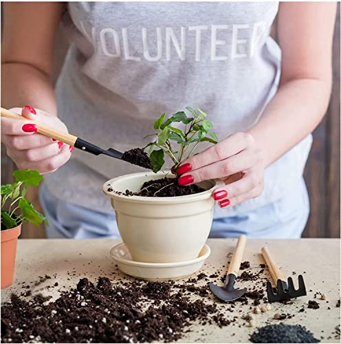 Juego de 3 herramientas de jardinería WishLotus mini miniatura 5