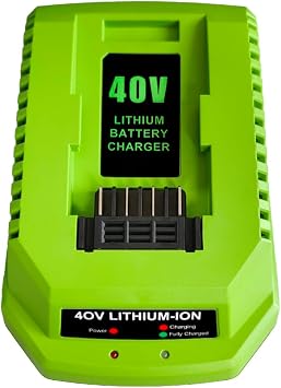 40V 2A Replacement Battery Charger Compatible with Greenworks 40V Battery Lithium Ion 29482 29462 29472 2901319 2938302 BAF702 L-300 BAF704 BAF705 40V G-MAX Power Tool 29252 20202 22262