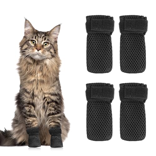 Cat Mittens The 15 best products compared Wild Explained