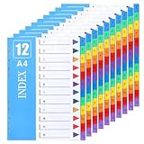 Indexation claire : numérotée de 1 à 20 avec références alphabétiques, permettant une organisation systématique des fichiers dans l'ordre numérique et alphabétique