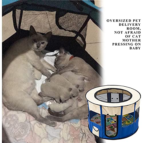 Cani e Gatti Pet Pet Ambientazione Esterna Cat Cat Cat Case per Piccoli Cani di Grandi Dimensioni Traspirante Tenda da Cani Portatile da Cani Pieghevole Letto per Animali Domestici