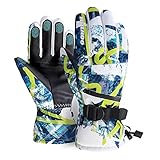 HOIHOO Ski Gloves, Waterproof Snow Gloves -30℉ Winter Gloves for Cold Weather Touchscreen Snowboard Gloves Warm for Men Women (Blue, Large)