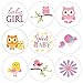 Owl and Tweet Pink Woodland Girl Baby Shower Favor Labels - 180 Stickers