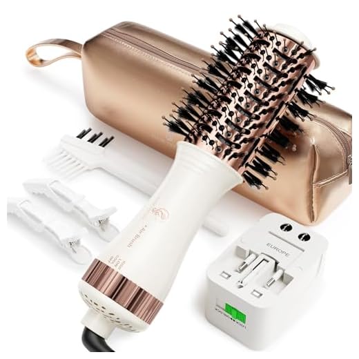 Travel Blow Dryer Brush Dual Voltage