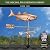 Bass with Arrow Weathervane - Pure Copper