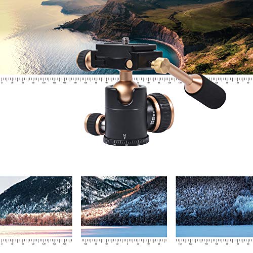 Bestshoot Tripod Head, Flexi-Tilt Universal Ball Head With Quick Release Plate, 1/4 Screw For Dslr Camera, Video Camcorder, Cellphone/Pad, Mirrorless Cameras, Ring Light, Selfie #TOP3