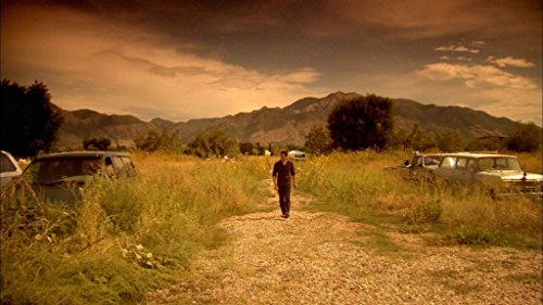 Künstliches Leben - Der Baukasten der Evolution