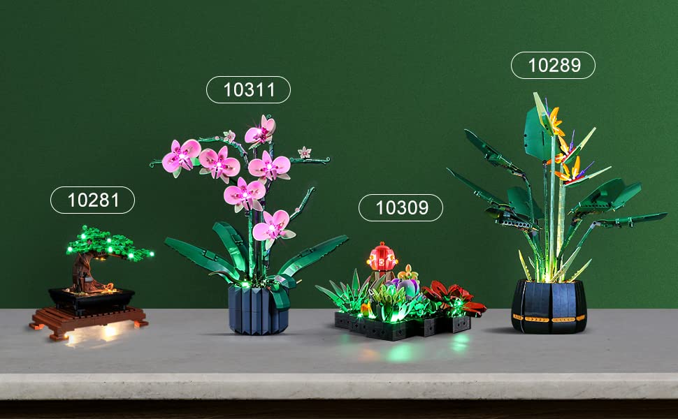 Image of LIGHTAILING Light Set for Lego 10289 Bird of Paradise Building Blocks Model: Remote Control Version - Model Set Not Included