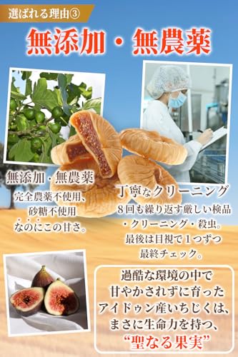 健康 kitchen ドライいちじく 100g