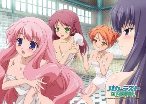 Baka tapestry bath Baka to Test déco murale manga pour salon geek