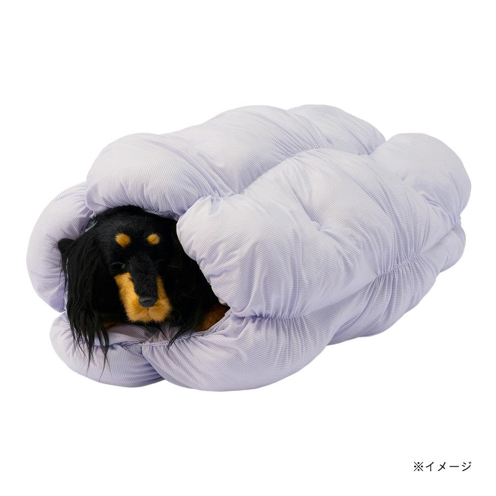 Amazon.co.jp: カインズ(CAINZ) もっとひんやりトンネル ペール