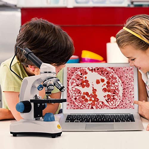 Microscopio para estudiantes SWIFT SW150 ideal para trabajos escolares y experimentos en casa 7