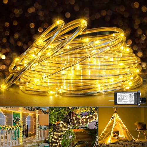 66FT 200 LED Rope Lights for Outside, Plug in Rope Lights Outdoor Waterproof with 8 Modes...