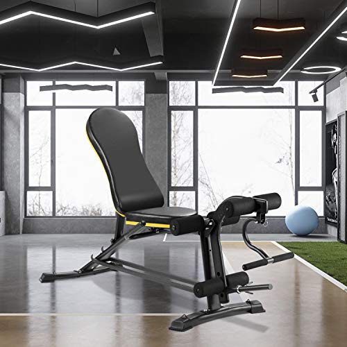 ZENOVA Adjustable Weight Bench, Flat Incline Decline Exercise Workout Bench with Leg Extension and Curl,Training Bench for Full Body Workout (Upgrade Version)