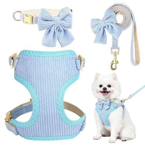 Budget Bowtie Cotton Harness & Leash Set (Blue, Small)