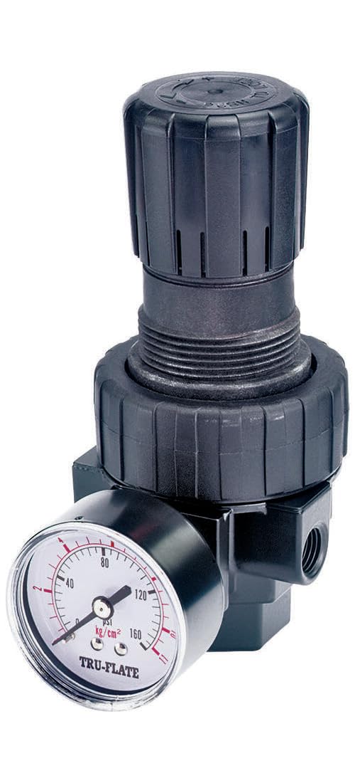 REGULATOR W/GAUGE 125PSI