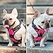 PoyPet No Pull Dog Harness, No Choke Front Lead Dog Reflective Harness, Adjustable Soft Padded Pet Vest with Easy Control Handle for Small to Large Dogs(Pink, Medium)