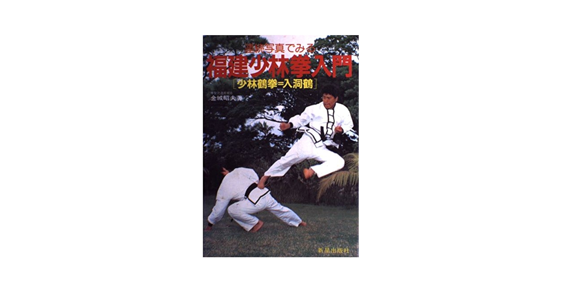 【中古】 拳児 八極拳入門/小学館/藤原芳秀 Amazon.co.jp: 福建少林拳入門 : 金城昭夫: 本