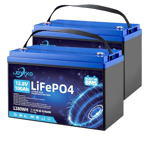 2 Stück Lifepo4 100Ah 12V Lithium Batterie,Lifepo4-Batterie 12,8 V
