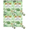 Twinings Pure Peppermint Tea Single Serve K-Cup Pods for Keurig, Naturally Caffeine Free, Made with 100% Pure Peppermint, 24 Count (Pack of 4)