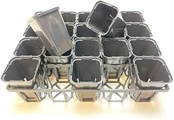 51b5Ay7wcTL._AC_UF350,