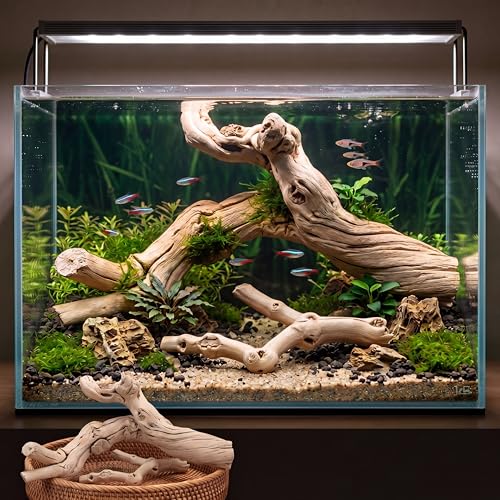 ElaraBerry Large Driftwood for Aquarium and Reptiles