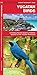 Yucatan Birds: A Folding Pocket Guide to Familiar Species of the Yucatan Peninsula (Wildlife and Nature Identification)