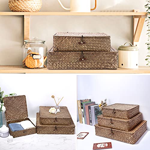 Image of Hipiwe Set of 3 Flat Wicker Basket Bins with Lid - Handwoven Seagrass Boxes