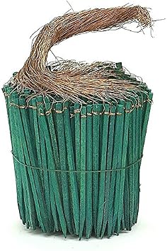 Wired Wood Picks 6" Package of 750 Picks in Green