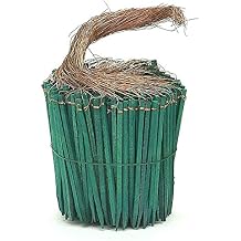 Wired Wood Picks 6" Package of 750 Picks in Green