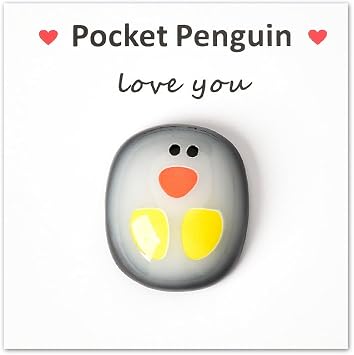 Pocket Hug Token Gift for Couples Love You Gifts for Girlfriend Boyfriend Husband Wife Christmas Birthday Gifts for Gf Bf Hubby Wedding Anniversary Valentinesday Gift for Him Her Pocket Penguin