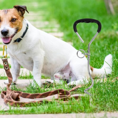 INOOMP 2 Pçs Cão Amarrar Estaca Resistente Ovelha Quintal Estaca Âncora Gado Cavalo Ovelhas Gado Cor